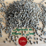Café Verde