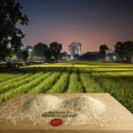 Arroz-al-Vapor-Basmati-1.jpg