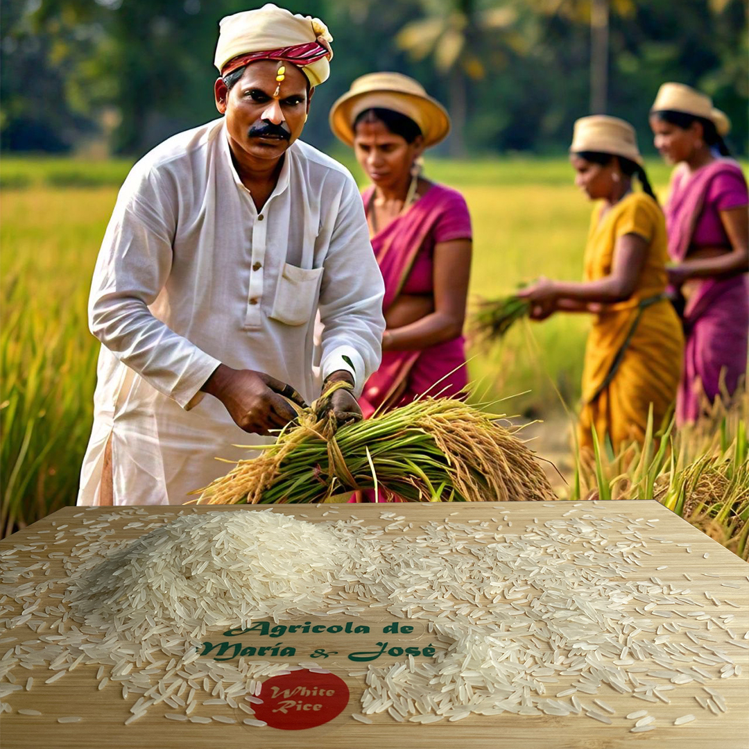 Tradicional Basmati - India - Image 2