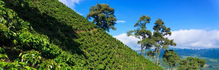 MONTAÑAS 2